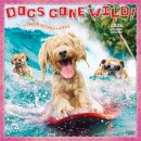 Avanti Dogs Gone Wild 2026 Square Flap Calendar