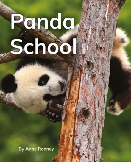 Panda School