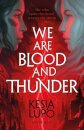 We Are Blood And Thunder