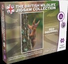 Red Squirrel 1000 Piece Puzzle