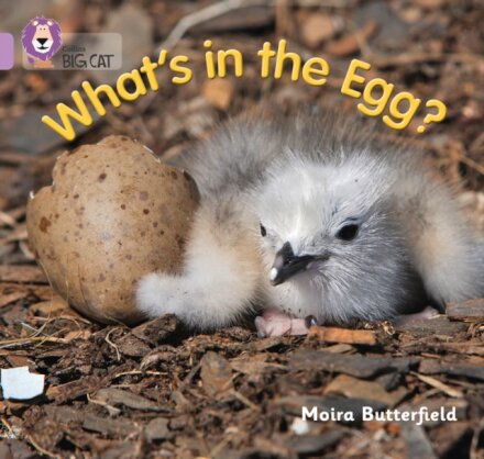 What’s in the Egg?