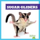 Sugar Gliders