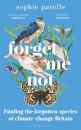 Forget Me Not