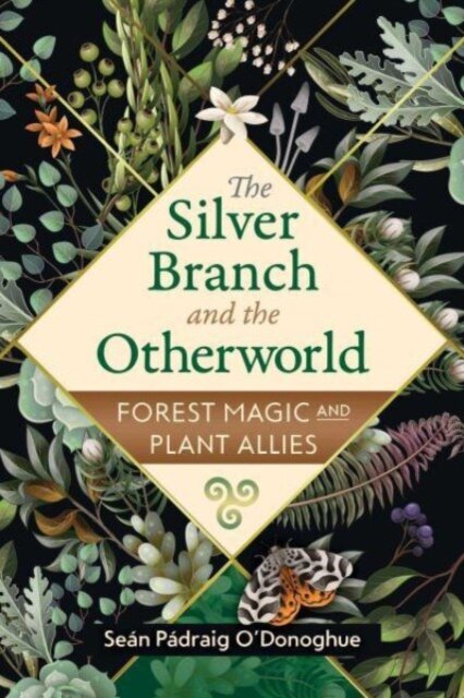 The Silver Branch and the Otherworld