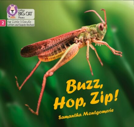 Buzz, Hop, Zip!
