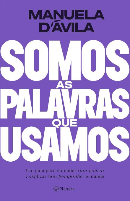 Somos As Palavras Que Usamos: Guia Para Entender (Um Pouco )