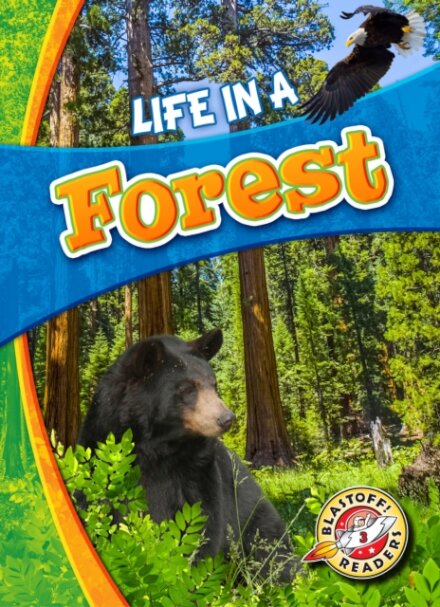 Life in a Forest