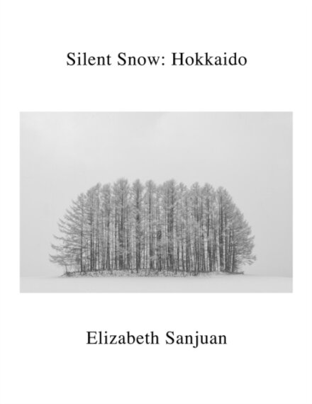 Silent Snow