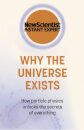 Why The Universe Exists