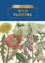 Kew Pocketbooks: Wildflowers