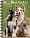 What Dogs Teach Us 2027 Engagement