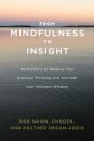 From Mindfulness to Insight