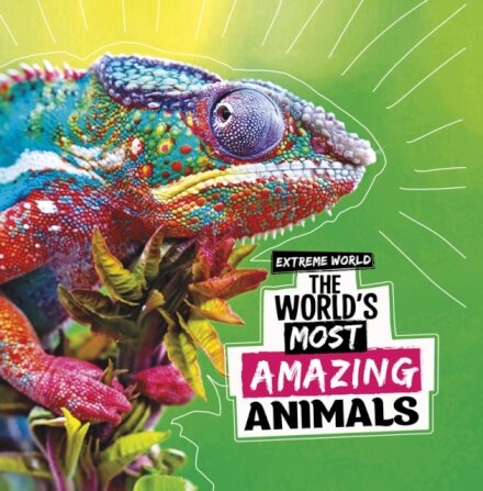 The World's Most Amazing Animals