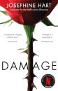 Damage (Virago Modern Classic)
