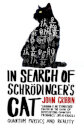 In Search Of Schrodinger´S Cat