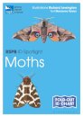 RSPB ID Spotlight - Moths