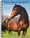 What Horses Teach Us 2027 Engagement