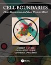 Cell Boundaries