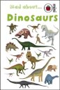 Mad About Dinosaurs