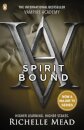 Vampire Academy: Spirit Bound