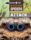 Predator vs Prey: How Spiders and other Invertebrates Attack