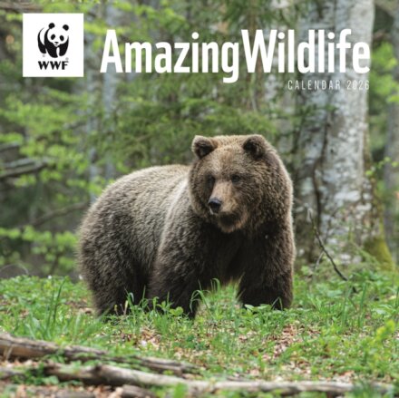 Wwf Amazing Wildlife Square Wall Calenda