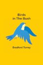 Birds in the Bush