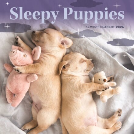 Sleepy Puppies Square Mini Sunday Start