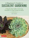 A Beginner's Guide to Succulent Gardening