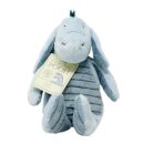 CLASSIC EEYORE