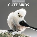 Cute Birds 2025 Square Wall Calendar