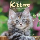 Love Of Kittens Square Mini Sunday Start