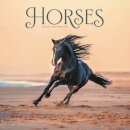 Horses Wiro Wall Calendar 2026
