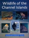 Wildlife of the Channel Islands