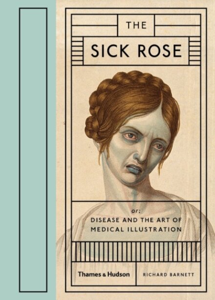 Sick Rose: Disease In The Golden Age Of Medical