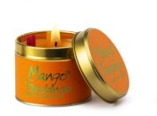 Mango Fandango  - Scented Tin Candle
