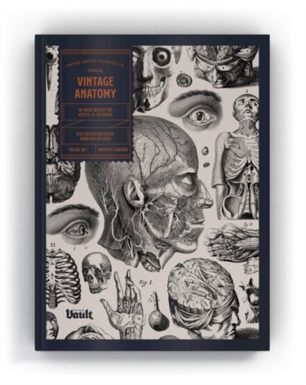 Vintage Anatomy