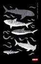 Diving Log Book : Sharks