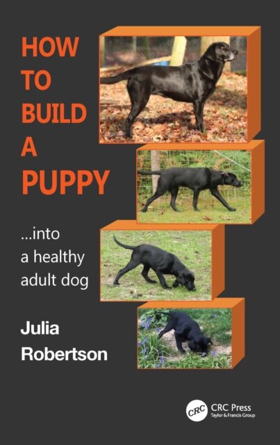 How to Build a Puppy