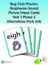 Bug Club Phonics Grapheme-Sound Picture Frieze Cards Year 1 Phase 5 alternatives (A4)