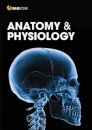 Anatomy and Physiology
