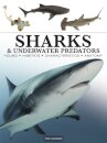 Sharks & Underwater Predators