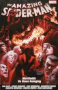 Amazing Spider-Man: Worldwide Vol. 9
