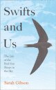 Swifts and Us