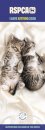 Rspca I Love Kittens Slim Calendar 2026