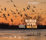 Wings Over Water