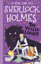 The Veiled Lodger