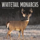 Whitetail Monarchs Square Wall Sunday St
