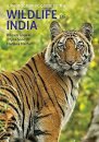 A Photographic Guide to the Wildlife of India