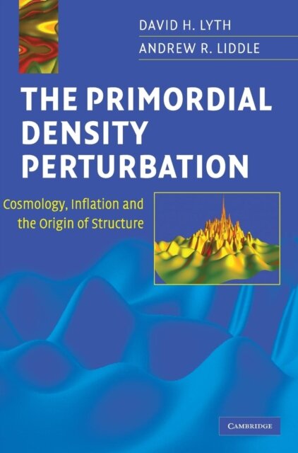 The Primordial Density Perturbation